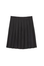 At The Knee Pleated Skirt